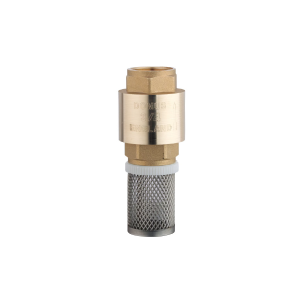 Foot Valve SS Filter